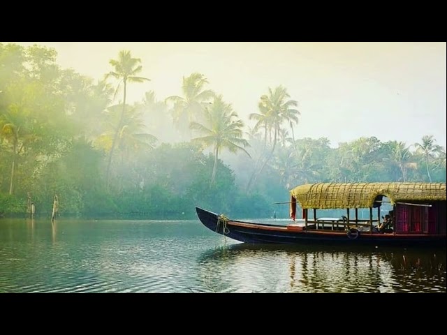 Beauty of Kerala//Instrumental music status