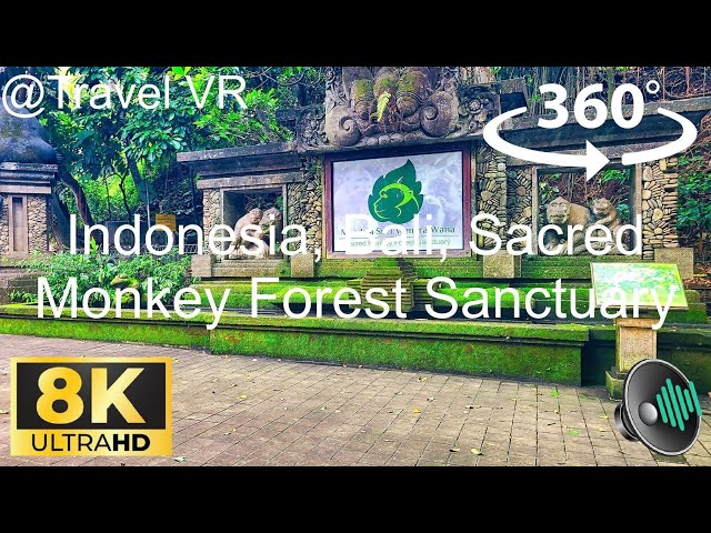 Wild and Sacred Monkey Forest Sanctuary in Bali, Indonesia near Ubud