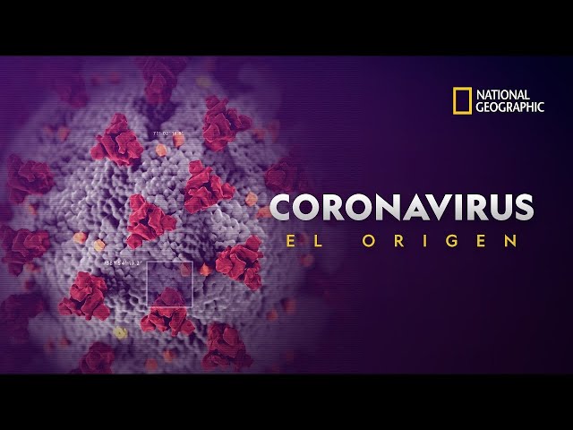 Coronavirus: El Origen