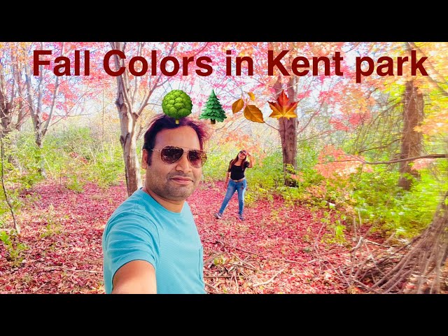 Aaiye mere sath ek magical safar main ||Fall in Kent park,Oxford|| USA||subscribe||Must watch 🍁🍂🌴🌳🧿