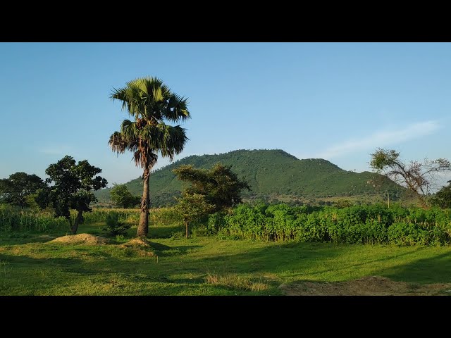 Nature View Jharkhand