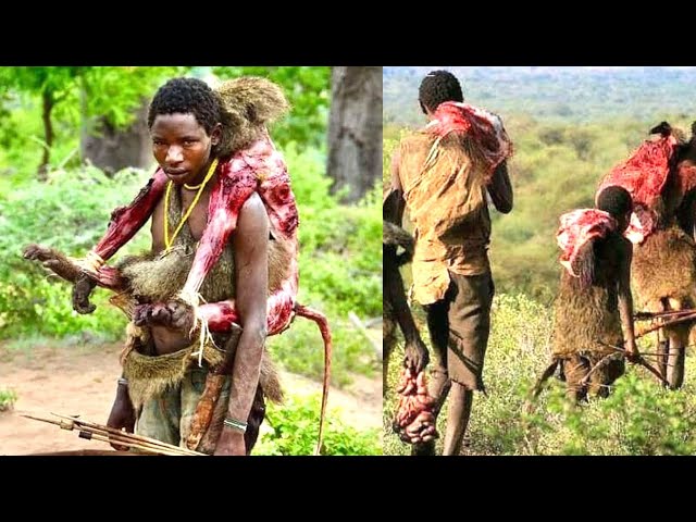 Its another day in Hadza Land ... BIG WILD ANIMAL HUNT with Hadzabe Tribe #hadzabetribe #hadzabe