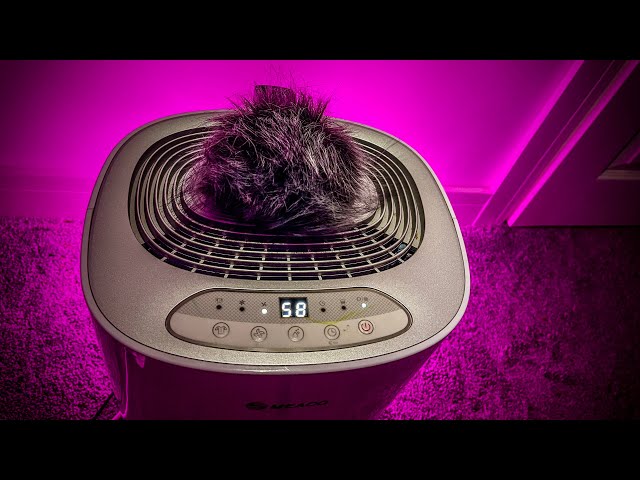 Soothing Deep White Noise to Make You  Fall Asleep in 5 Minutes | Dehumidifier Sound