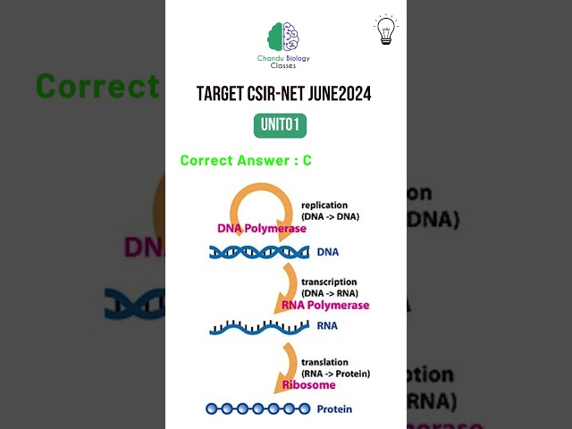 CSIR-NET LIFE SCIENCES | JUNE2024 #csir #gate #csirnet #csirnetpreparation #lifescience #csirnetjune