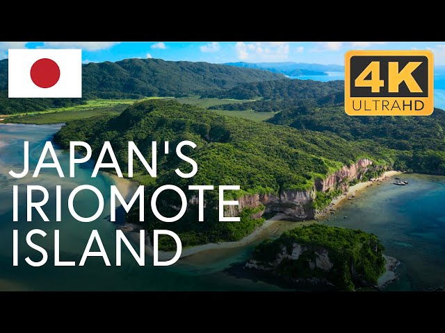 Japan's Forgotten Paradise: The Natural Wonders of Iriomote | 4K UHD Documentary