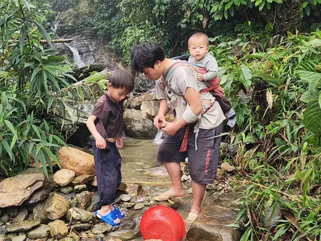 雨后是抓鱼的最好时机，阿强和大宝收获满满，还给小猪仔带了食物