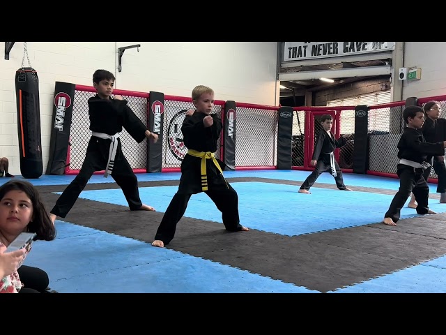 Karate….Green belt Grading @IFA Martial arts….Most Intense grading so far!