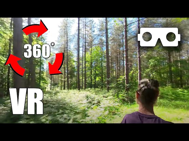 VR 360° Video | Forest 🌲 Hill 🌄 Part 2 | Let's Walk 🦶 (Virtual Reality) #vr #virtualreality #vr360