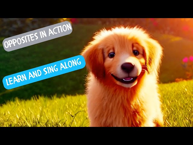 Opposites in Action – A Fun Kids’ Song About Opposites!