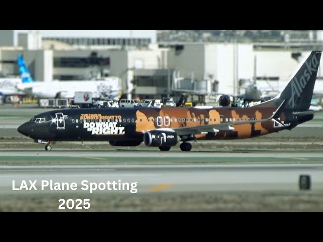 LAX Plane Spotting: Dreamliner Domination & Rare Liveries