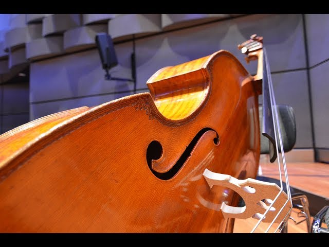 Mahler No. 2 | 3D Sound | 360° Video