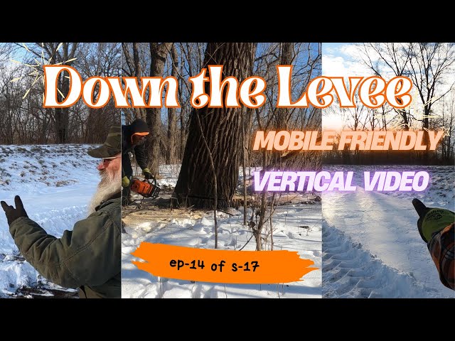 Down the levee - episode 14 of season 17 #chainsaw #skidder #logger #verticalvideo