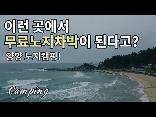 camping and surfing/Couples Camping in Korea/Truck camping/a camping trip/Puppy/Camping