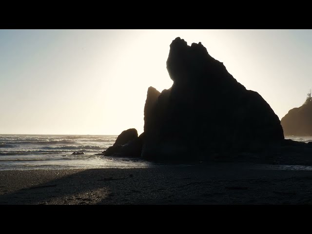 Pacific Ocean - Olympus EM-10 Mark III 4k video example