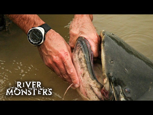 River Monsters - All Full Episodes of Season 1