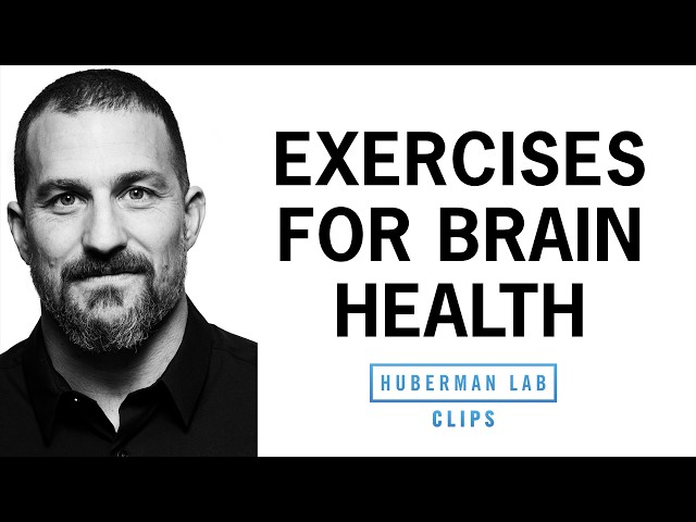 Best Exercises for Brain Health, Performance & Motivation | Dr. Andrew Huberman