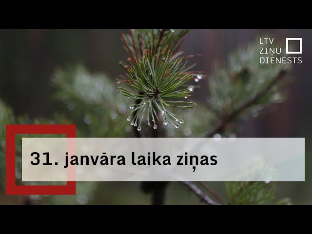 31. janvāra laika ziņas