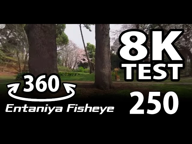 Entaniya Fisheye 250 with sony a6500 back-to-back 5K to 8K