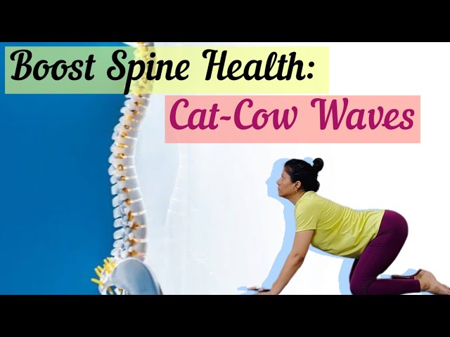 Want a Healthy Spine? Try Cat-Cow Waves 🌊 for Flexibility and Health 💪🏻