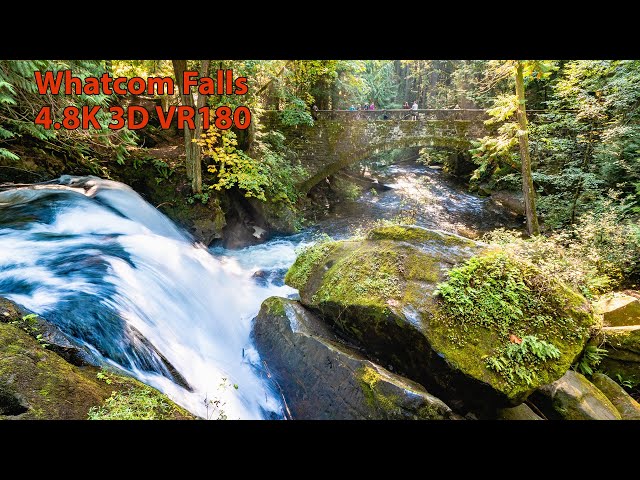 Whatcom Falls Park (Bellingham, WA) - 4.8K 3D VR180