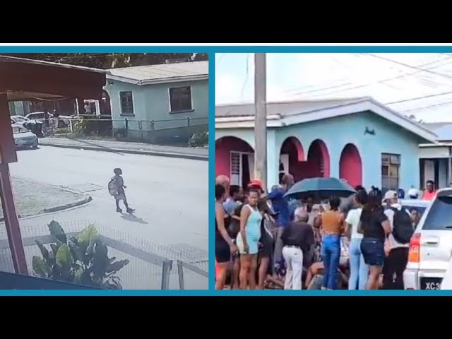 School child struck by moving vehicle - All parties (his parents + the driver) failed him - Barbados