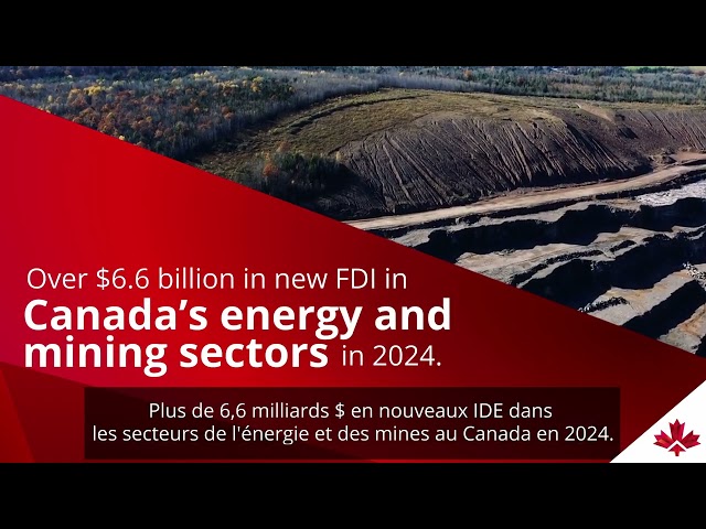 FDI trends/Tendances IDE: growth in a dynamic landscape/Croissance dans un environnement dynamique