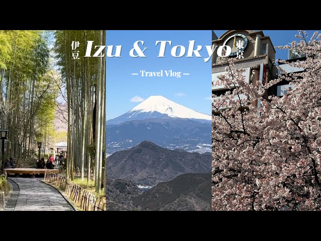 [Eng sub] 靜岡伊豆&東京 Vlog🇯🇵｜逛outlet還可以看富士山，修善寺蕎麥麵三吃｜看櫻花 美食、景點 一次告訴你！🗻🍙🌸🍮