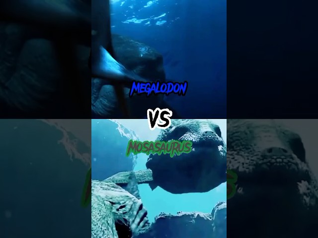 Megalodon VS Mosasaurus (Megalodon VS Jurassic World) #megalodon #mosasaurus #jurassicworld