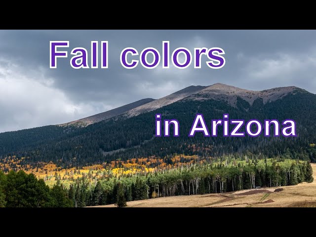 October colors-Earth & Sky  #soloRVer #nomad #boondocking #Arizona #Aspen #Aurora #Comet