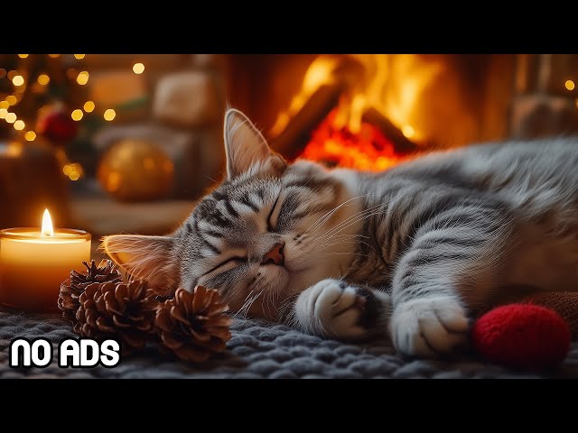 Calming music for cats with anxiety 🎵 Cozy ambience winter rest with piano music | Fireplace No Ads