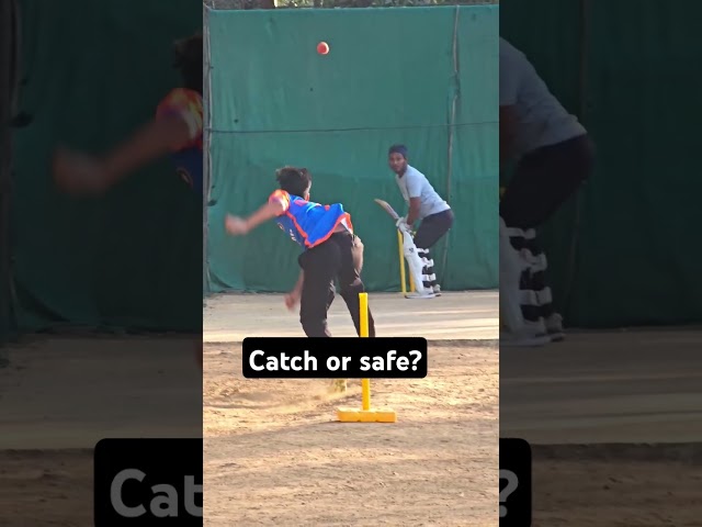 Catch or safe?🤔 #cricket #shorts #shiv #india #cricketlover #short #live #usa #uae #canada #uk #yt