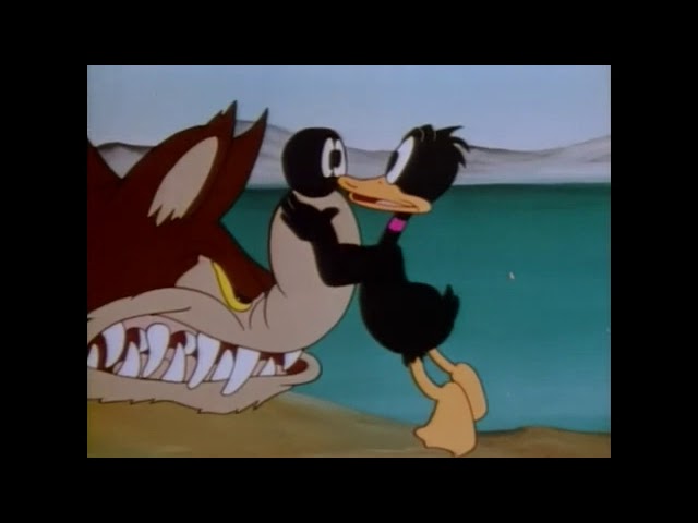 A Coy Decoy (Daffy Duck & Porky Pig) LOONEY TUNES