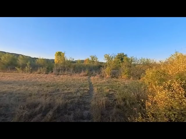 🍃 Gorj, Romania 🇷🇴 - 360 walk with 3 doggos 🐶 through a romanian backyard