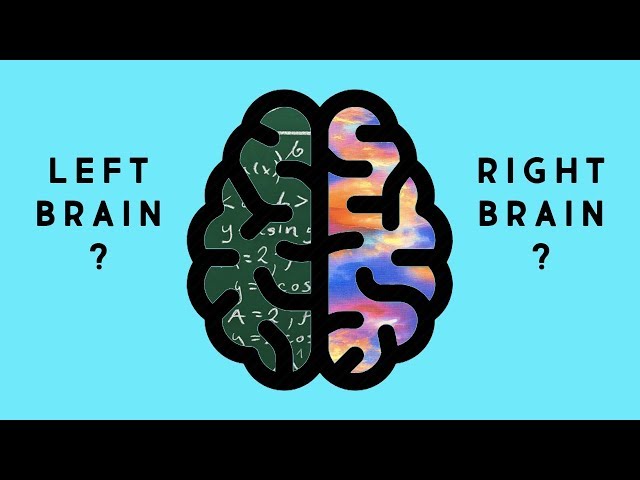 What's the Difference Between the Right Brain and Left Brain?