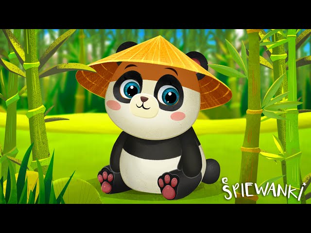 PANDA WANDA – Śpiewanki.tv - piosenki dla dzieci