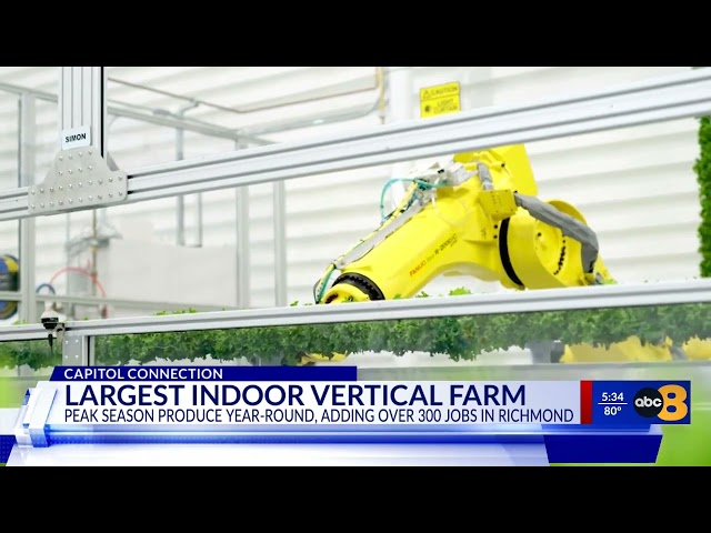 World’s largest indoor vertical farming campus planting roots in Virginia