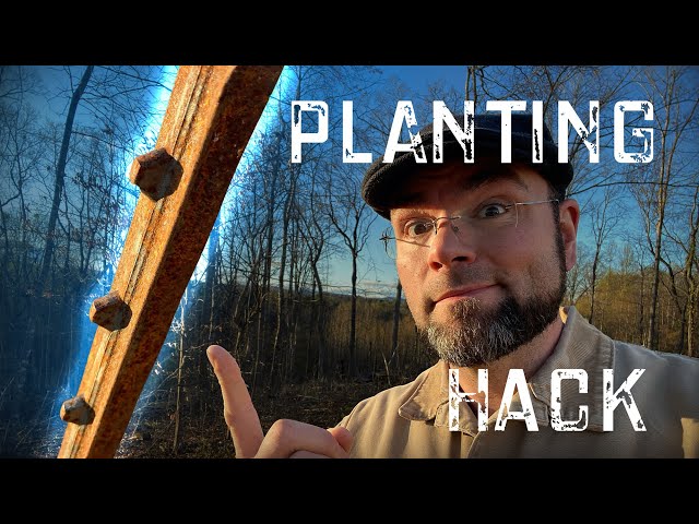 Planting with T-Posts: Simple Garden Hack