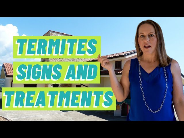 San Jose Pests - Termites | Termite Damage and Treatment | Drywood Termites vs Subterranean Termites