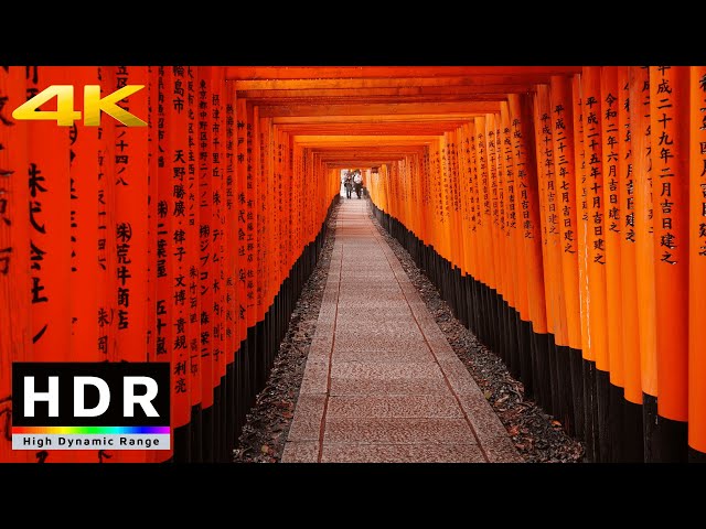 【4K HDR】Rainy Walk in Kyoto Fushimi Inari Shrine (京都散歩) - Summer 2020