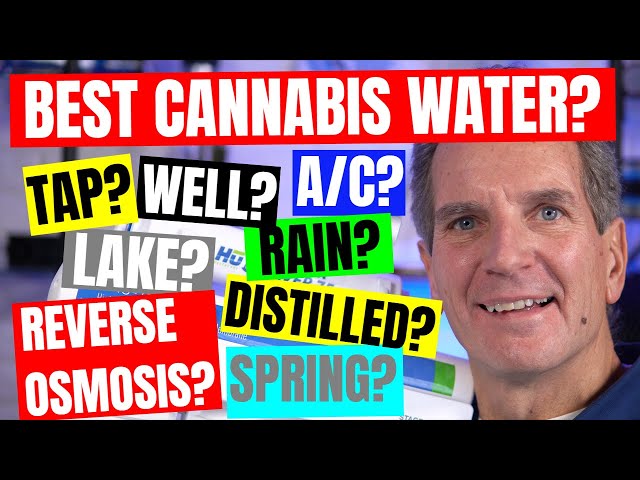 What is the BEST WATER for GROWING CANNABIS?