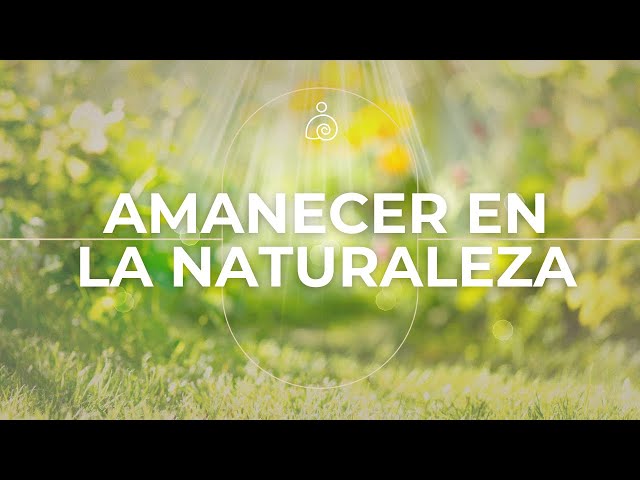 🌿Amanecer en la naturaleza / Libera El Estrés Y la Ansiedad /🌿