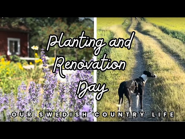 Planting and Renovation Day | Our Swedish Country Life