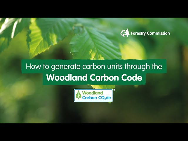 How to generate carbon units through the Woodland Carbon Code