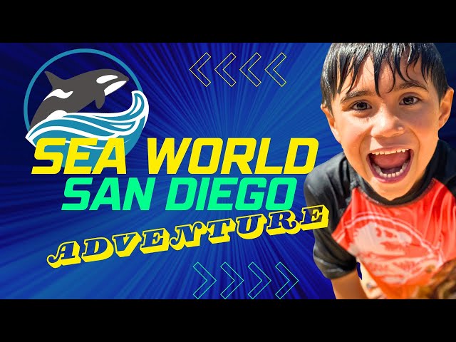 🦈💦Splash-tastic Adventure: Luke’s First Journey to SeaWorld San Diego!!