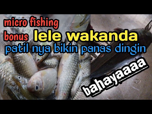 spot mancing wader anti boncos bonus iwak jumbo❗️