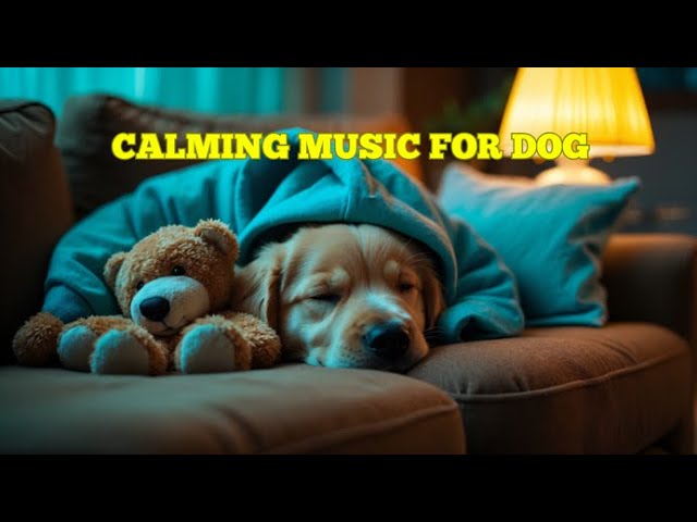 12 HOURS of Dog Calming Music For Dogs🎵💖Anti Separation Anxiety Relief Music🐶Sleep dog Healing🎵