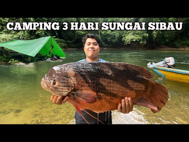 Camping fishing 3 hari hujan deras pertualangan dapat ikan kaloi besar panggang ikan makan di hutan