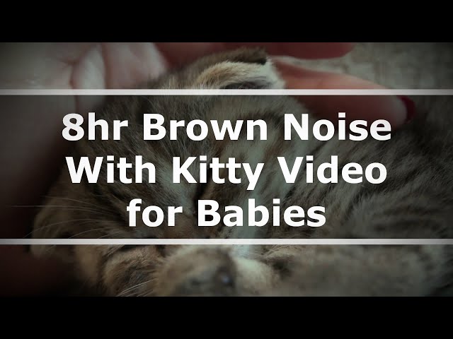 Purr-fectly Calming Brown Noise for Babies - Featuring Adorable Kitties!