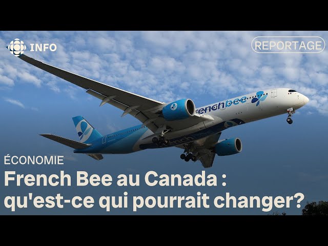 French Bee au Canada : qu'est-ce que ce nouveau joueur pourrait changer?