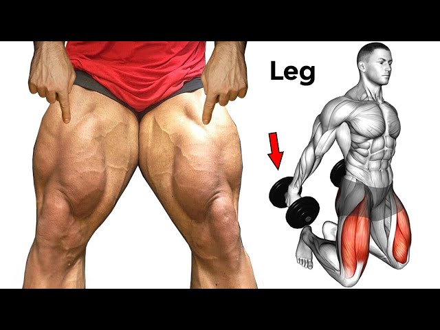 How to build Leg Fast  - 10 Best exercises leg ✅